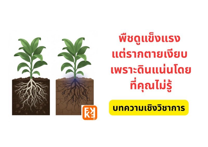 รูปภาพประกอบ