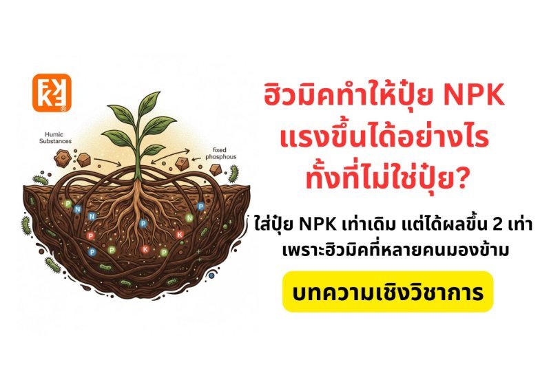 รูปภาพประกอบ