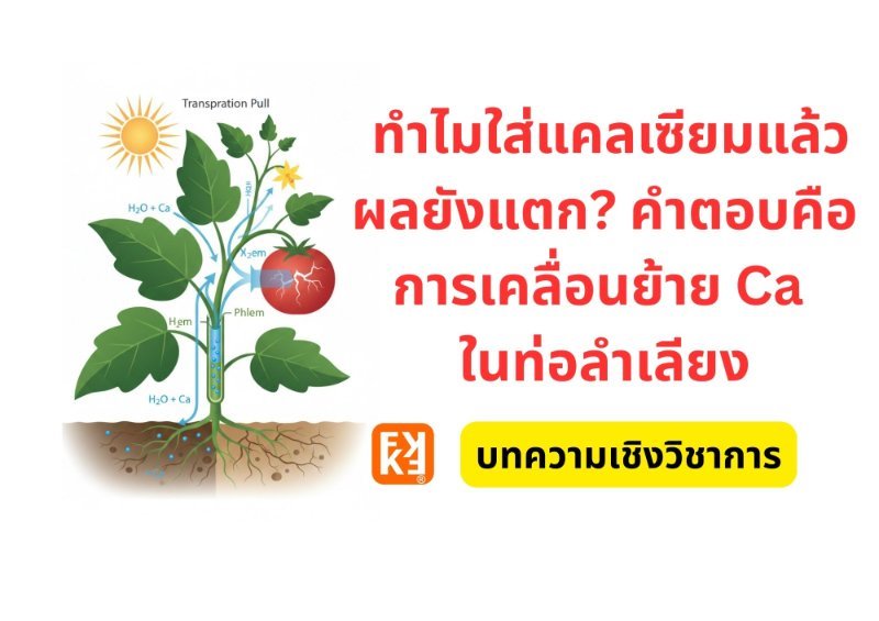 รูปภาพประกอบ