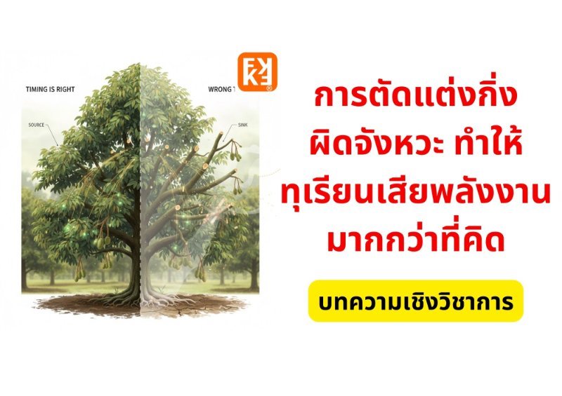 รูปภาพประกอบ