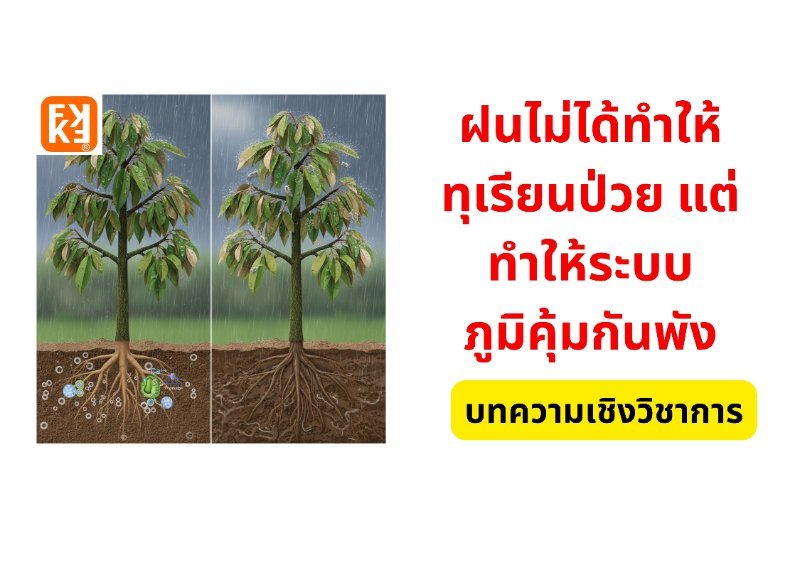 รูปภาพประกอบ