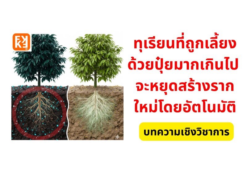 รูปภาพประกอบ