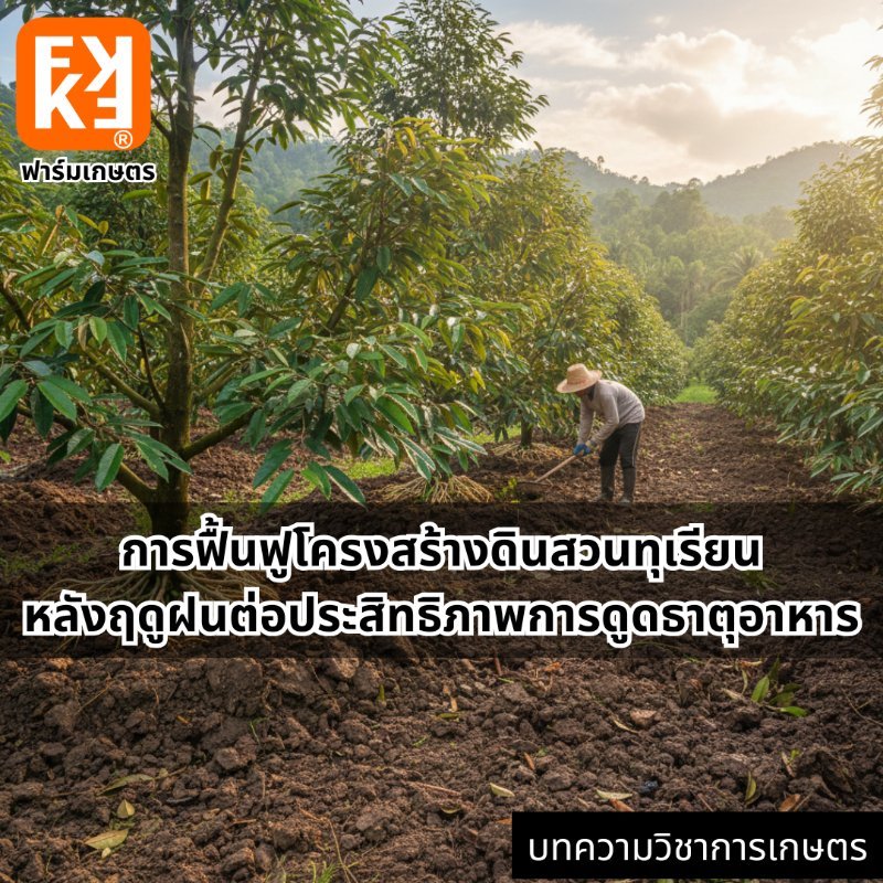 รูปภาพประกอบ