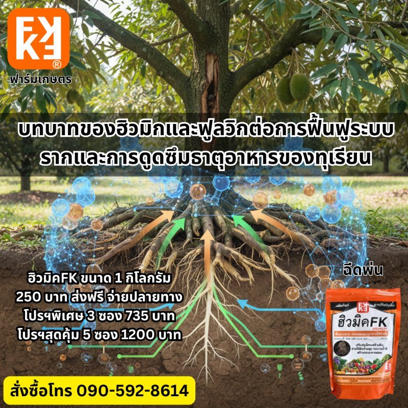 รูปภาพประกอบ