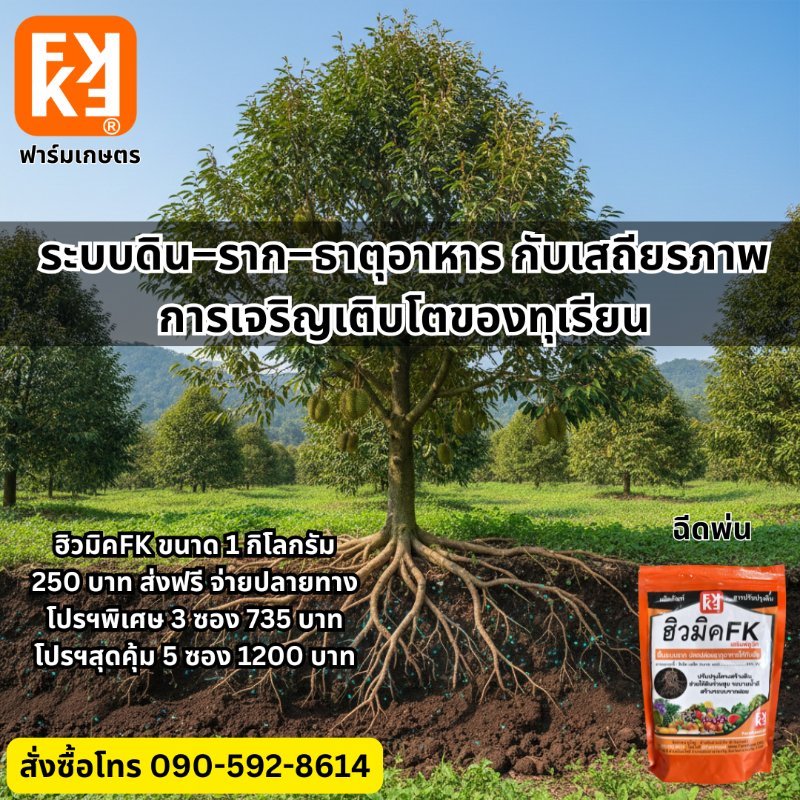 รูปภาพประกอบ