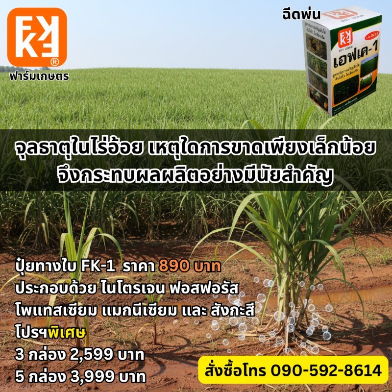 รูปภาพประกอบ