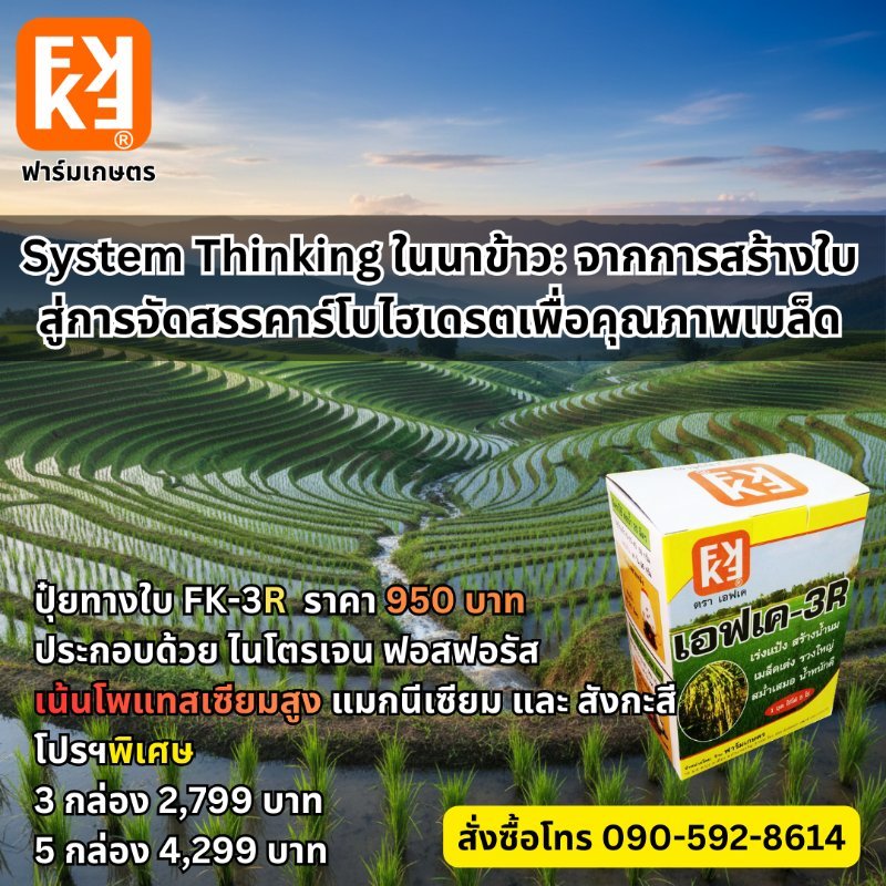 รูปภาพประกอบ