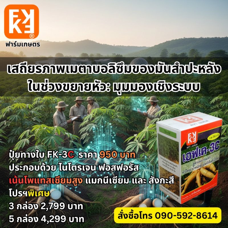 รูปภาพประกอบ