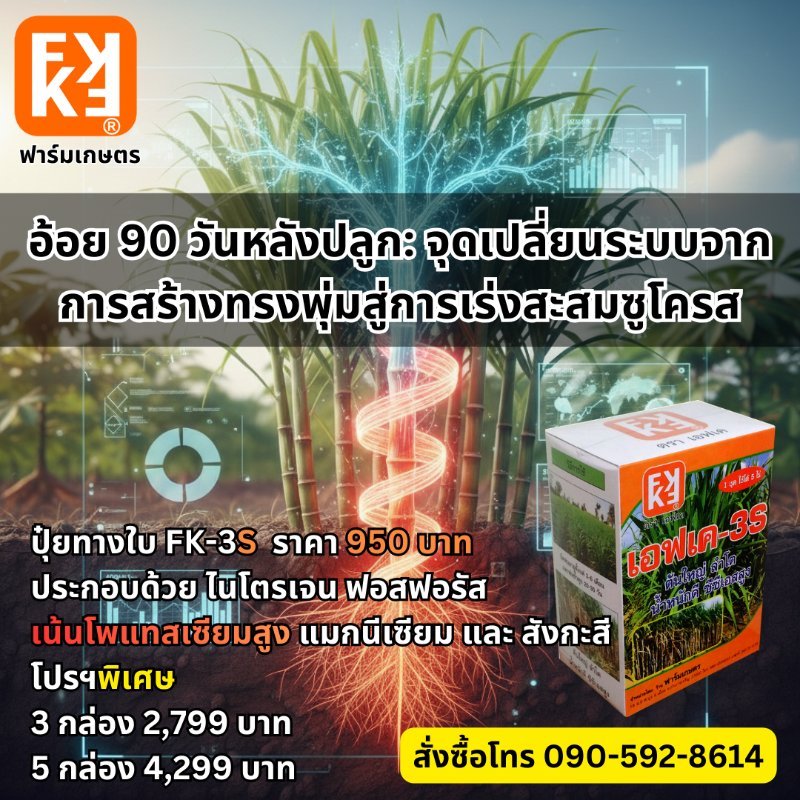 รูปภาพประกอบ