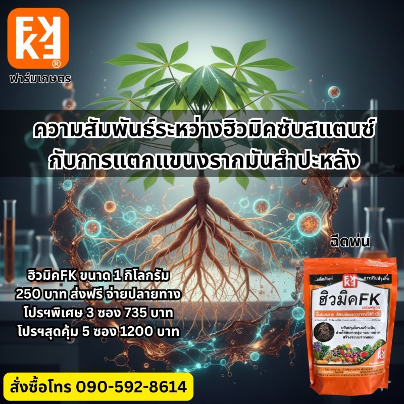 รูปภาพประกอบ