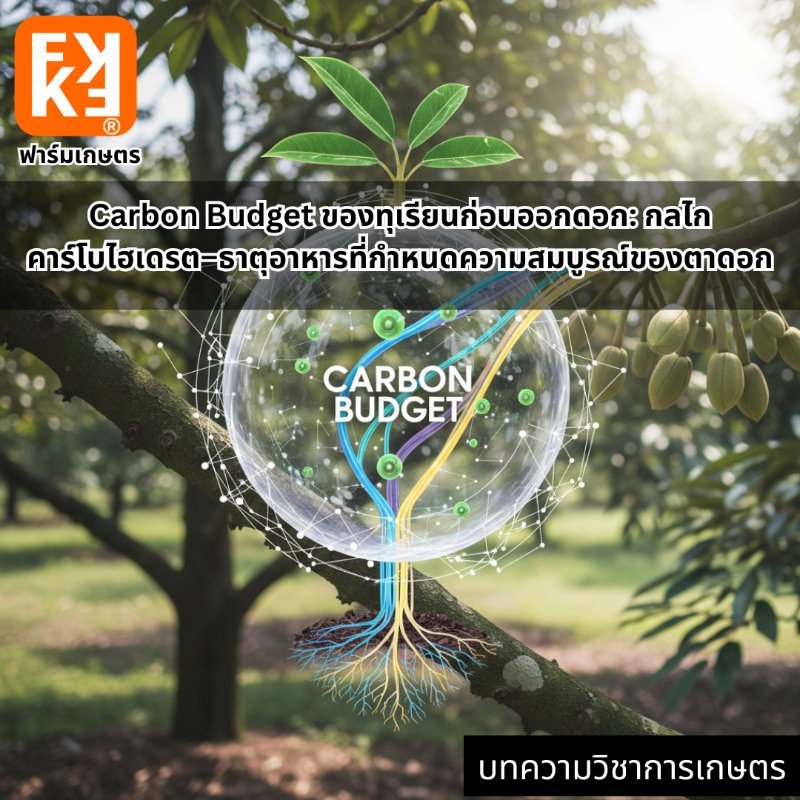 รูปภาพประกอบ