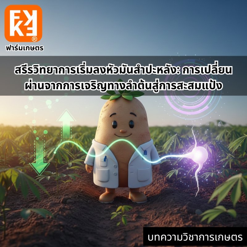 รูปภาพประกอบ