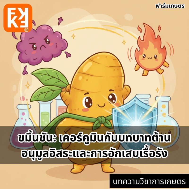 รูปภาพประกอบ