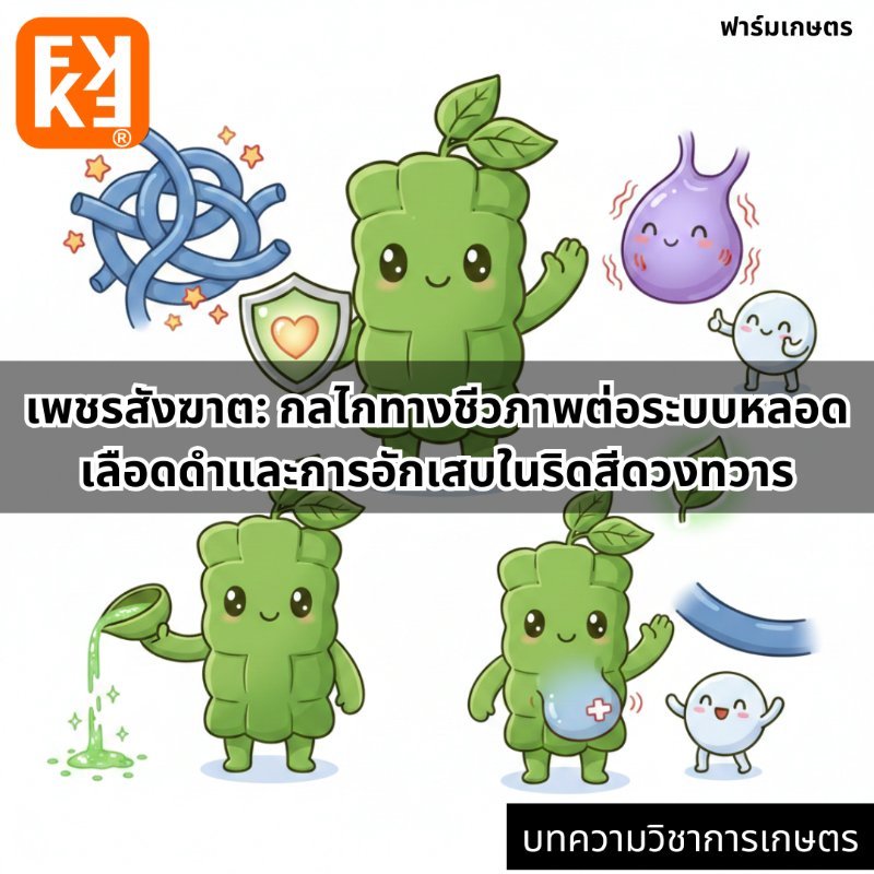 รูปภาพประกอบ