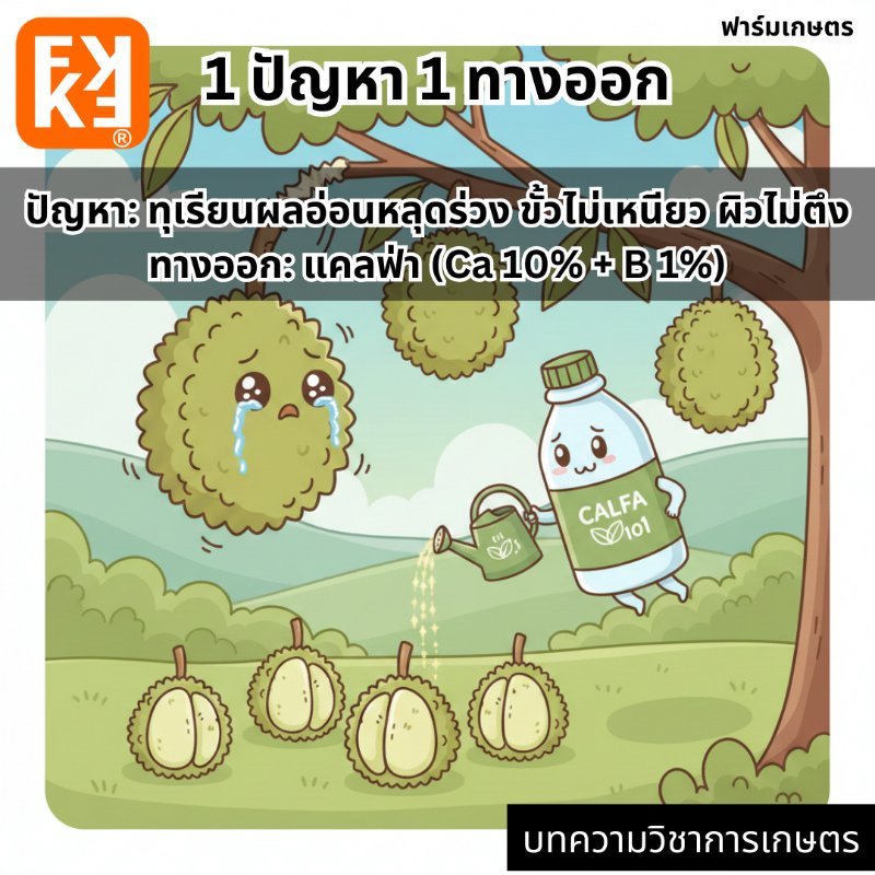 รูปภาพประกอบ