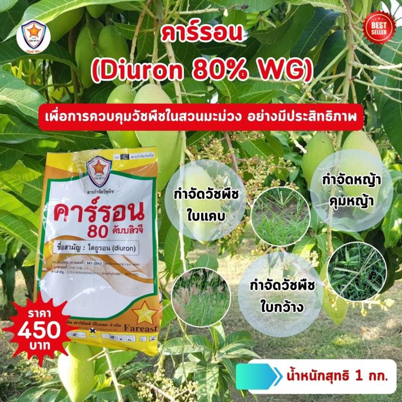 การกำจัดหญ้าและวัชพืชในสวนมะม่วงด้วยคาร์รอน (Diuron 80% WG)
