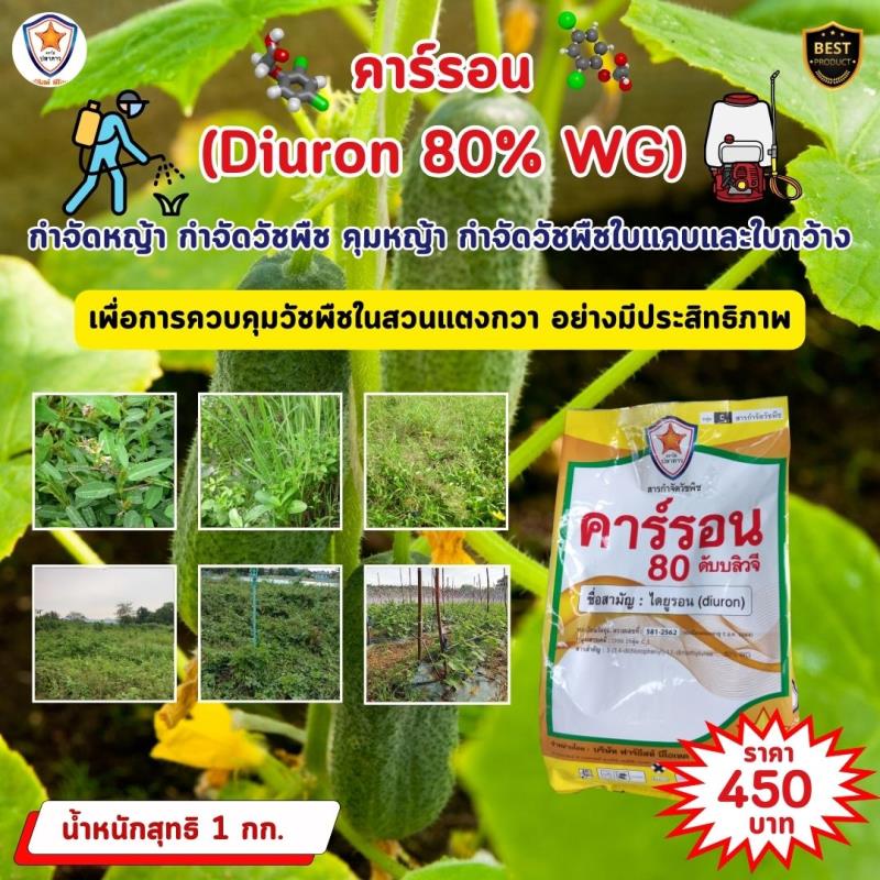 การใช้คาร์รอน (Diuron 80% WG) เพื่อควบคุมวัชพืชในสวนแตงกวา