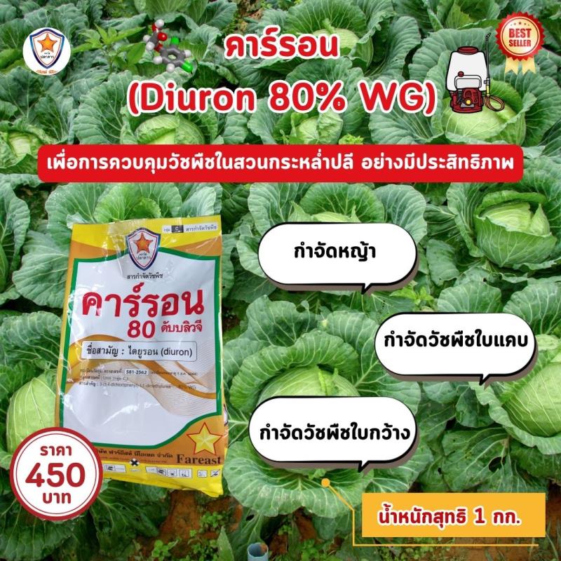 การใช้คาร์รอน (Diuron 80% WG) ในกำจัดวัชพืชในสวนผักกะหล่ำปลี