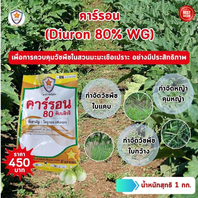 การใช้ คาร์รอน (Diuron 80% WG) เพื่อกำจัดวัชพืชในสวนเขือเปราะ