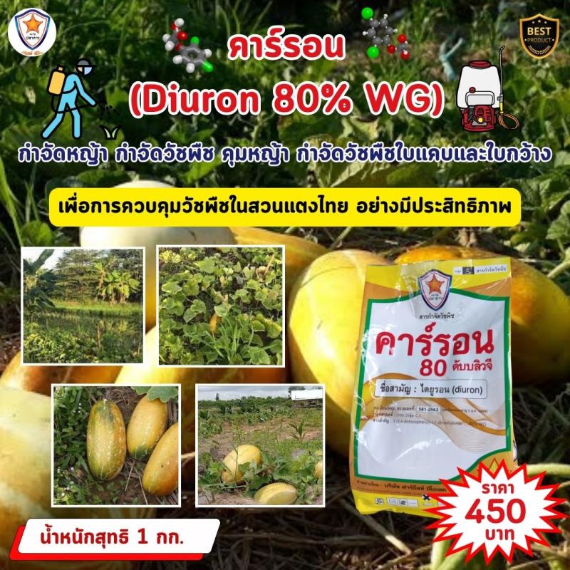การควบคุมวัชพืชในสวนแตงไทยด้วยคาร์รอน (Diuron 80% WG)