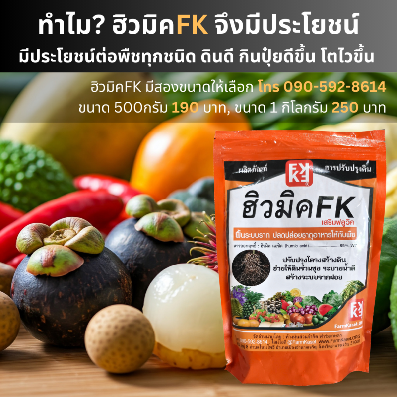 ทำไม? ฮิวมิคFK จึงจำเป็น และมีประโยชน์กับพืชทุกชนิด