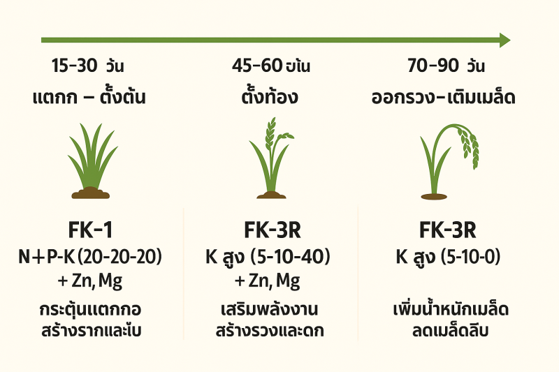 การใช้ปุ๋ยทางใบ เพื่อเสริมธาตุอาหารอย่างมีประสิทธิภาพในข้าว