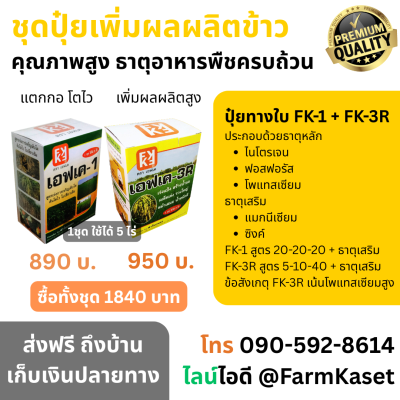 การใช้ปุ๋ยทางใบ เพื่อเสริมธาตุอาหารอย่างมีประสิทธิภาพในข้าว